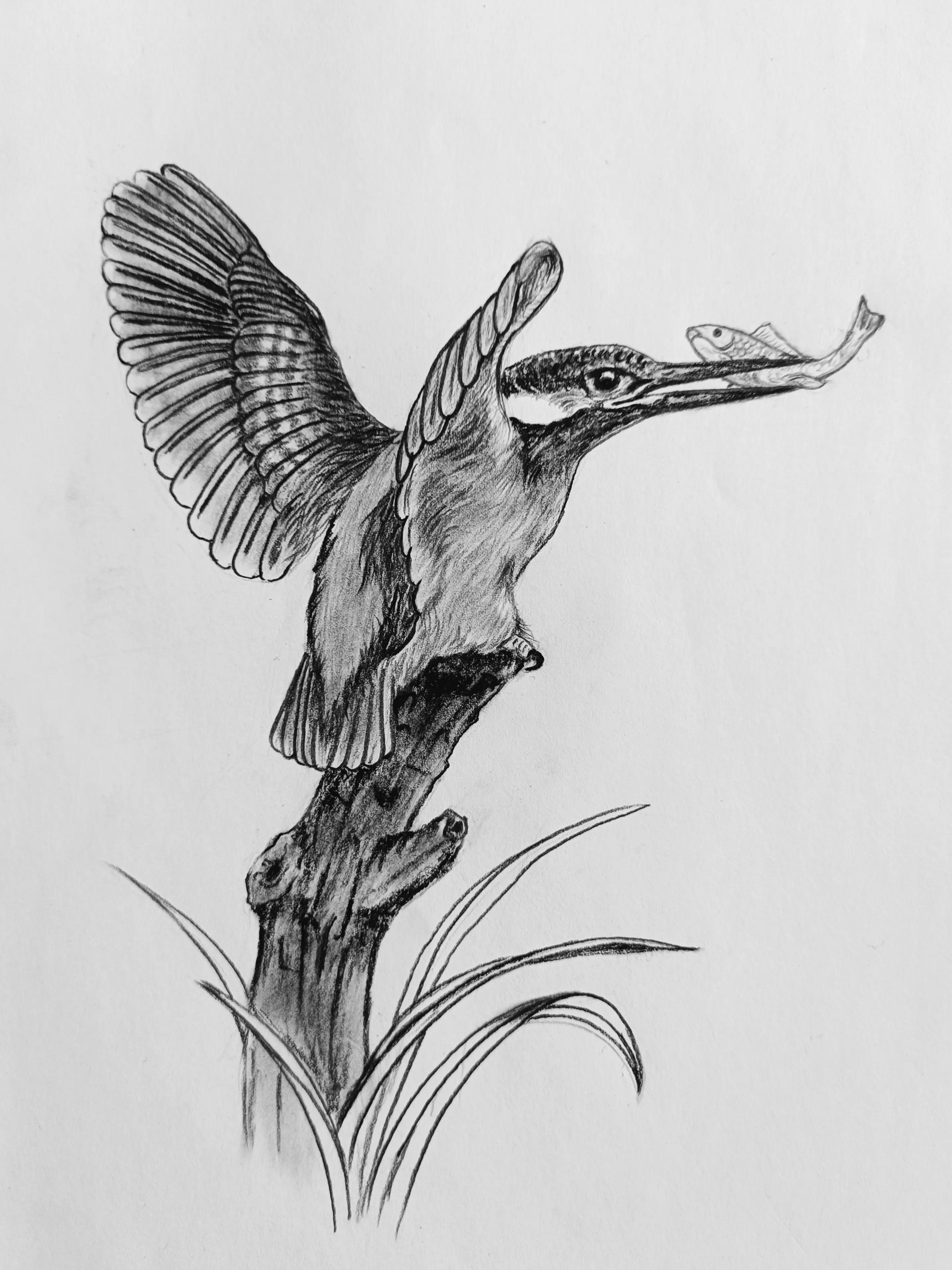 最新的五次郎视频电影,社会责任实施_教育版3.49.278