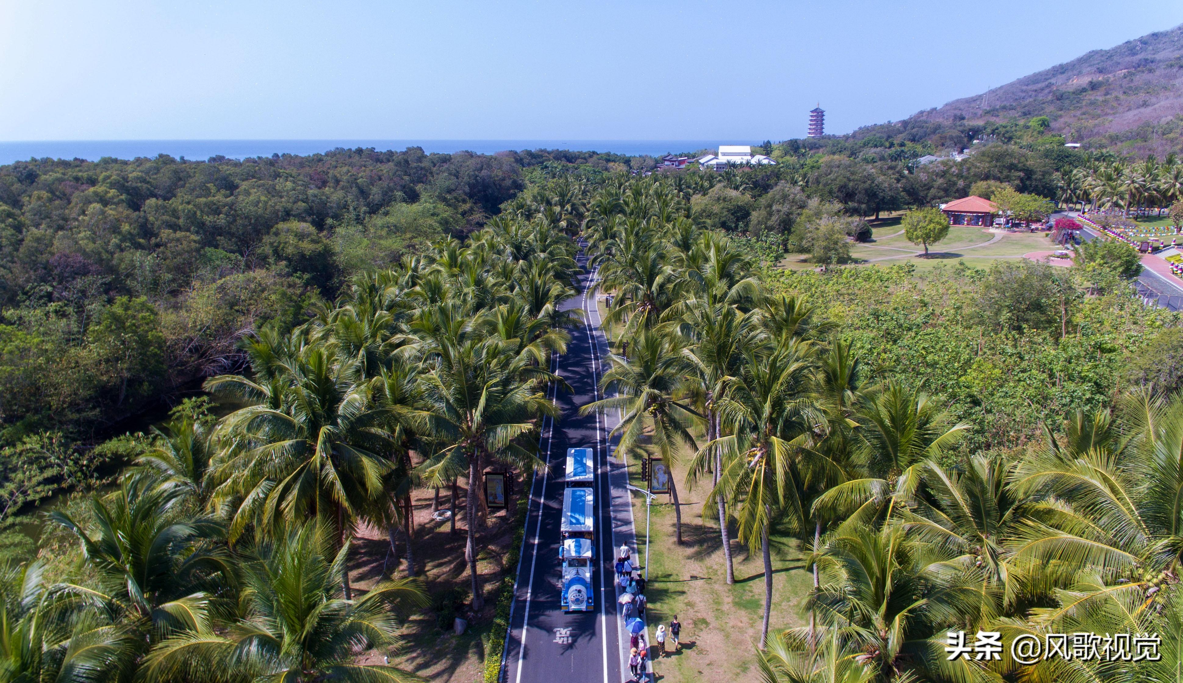 三亚农商银行杨柳最新,数据化决策分析_同步版1.30.196