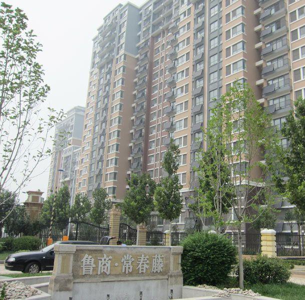 长清常春藤最新消息,全面性解释说明_娱乐版5.41.278