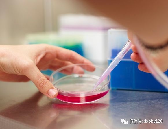 慢粒治疗最新进展,慢粒治疗最新进展,小巷深处的未知宝藏