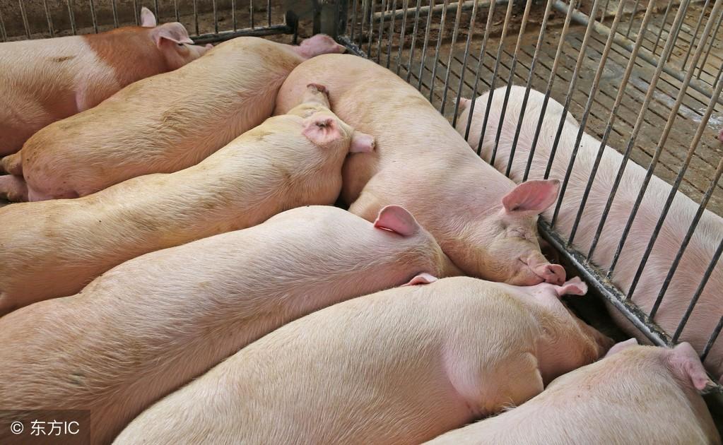 最新精子窝1,探索男性健康的新领域