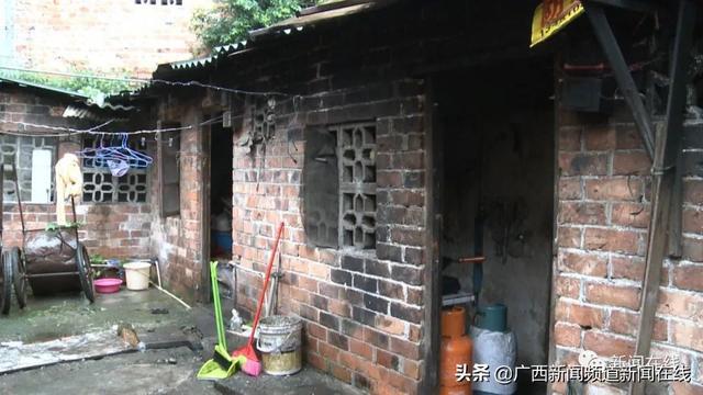 流感最新更新,巷弄深处的流感守护者——一家隐藏在小巷中的特色小店的故事