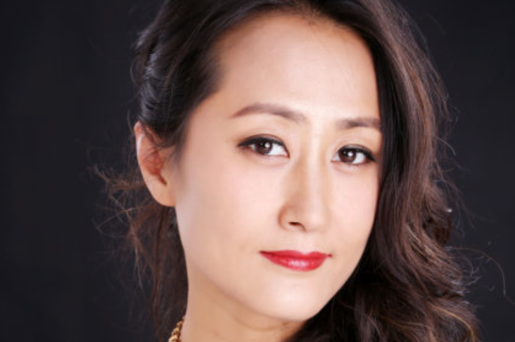 刘婉婷最新,璀璨明星的崛起与影响