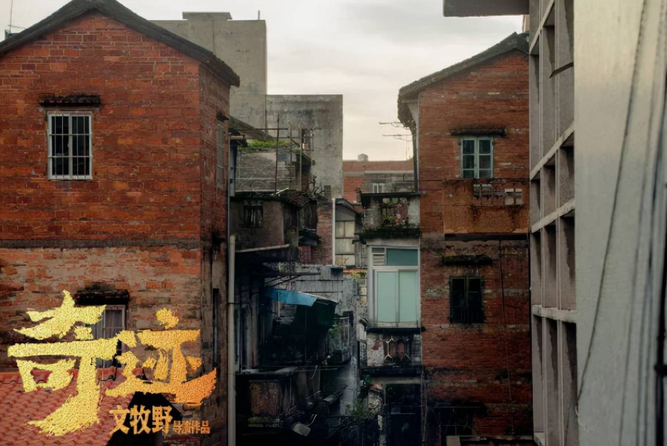 最新奇迹站,小巷中的隐藏瑰宝