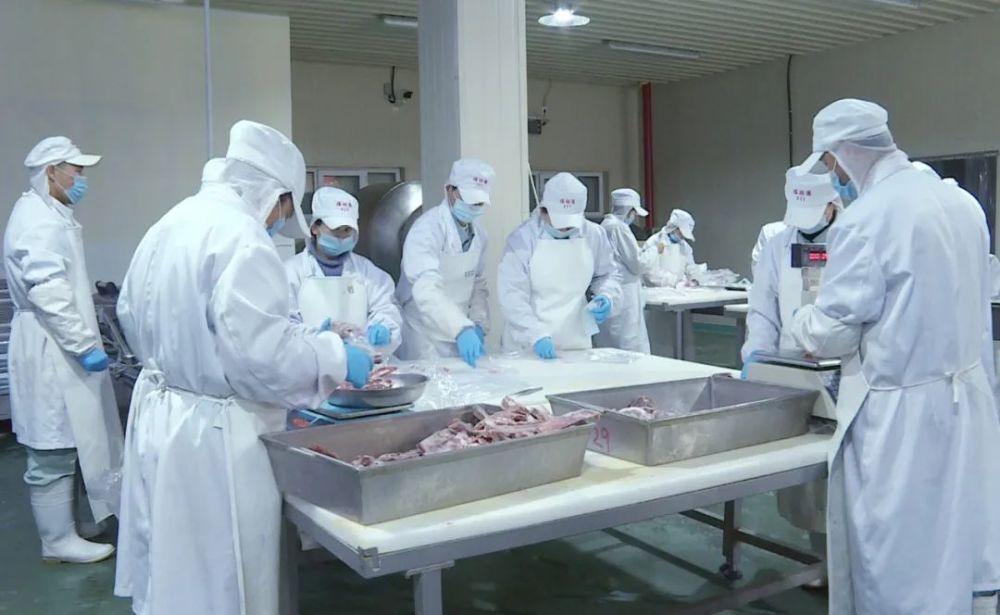 蓝伦牧最新动态,引领畜牧业创新发展的先锋力量