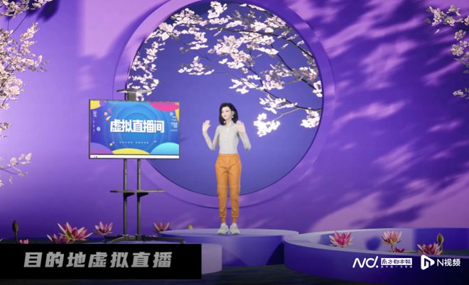 飞猪最新通知,重塑旅游体验的新篇章