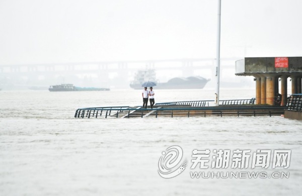芜湖长江最新水位