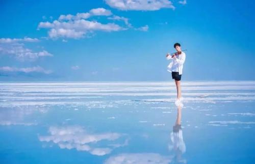 青客最新事,一场心灵与自然的奇妙旅行