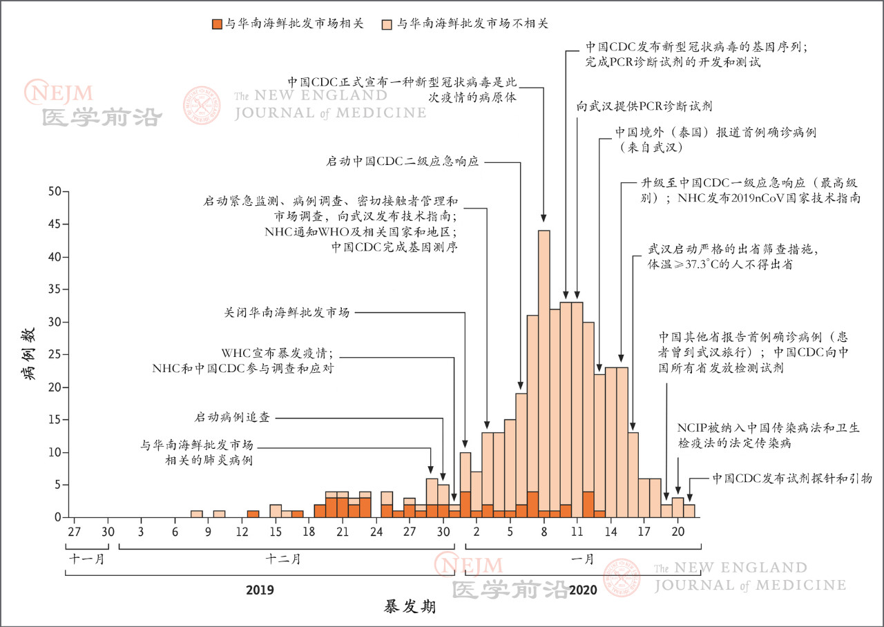 最新新冠肺炎,深入分析与观点阐述