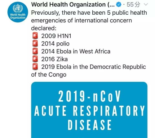 国际最新病毒,背景、重要事件与影响