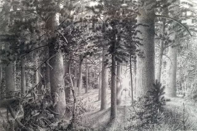 胡秀英最新,探索胡秀英的新动态与新成就