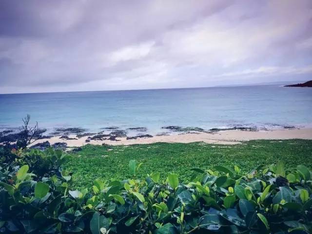 密芽TV最新,探索自然美景的轻松之旅,寻找内心的平和与宁静