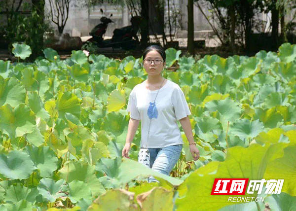 新澳好彩免费资料查询小龙女,实地研究验证现象_Device35.784