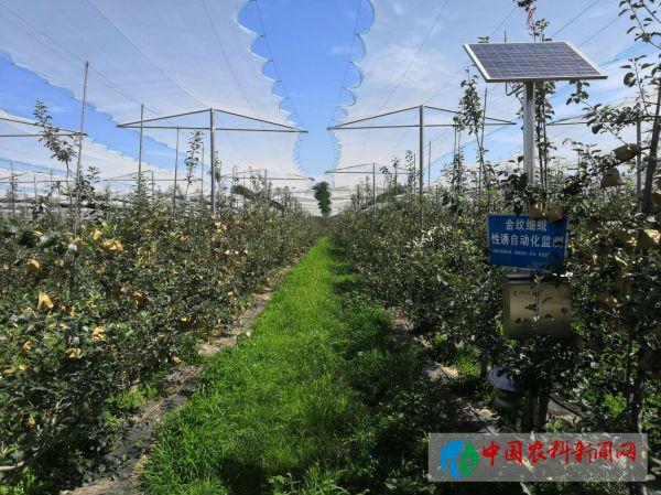 🌟最新除草机,轻松打造绿意盎然的生活环境✨