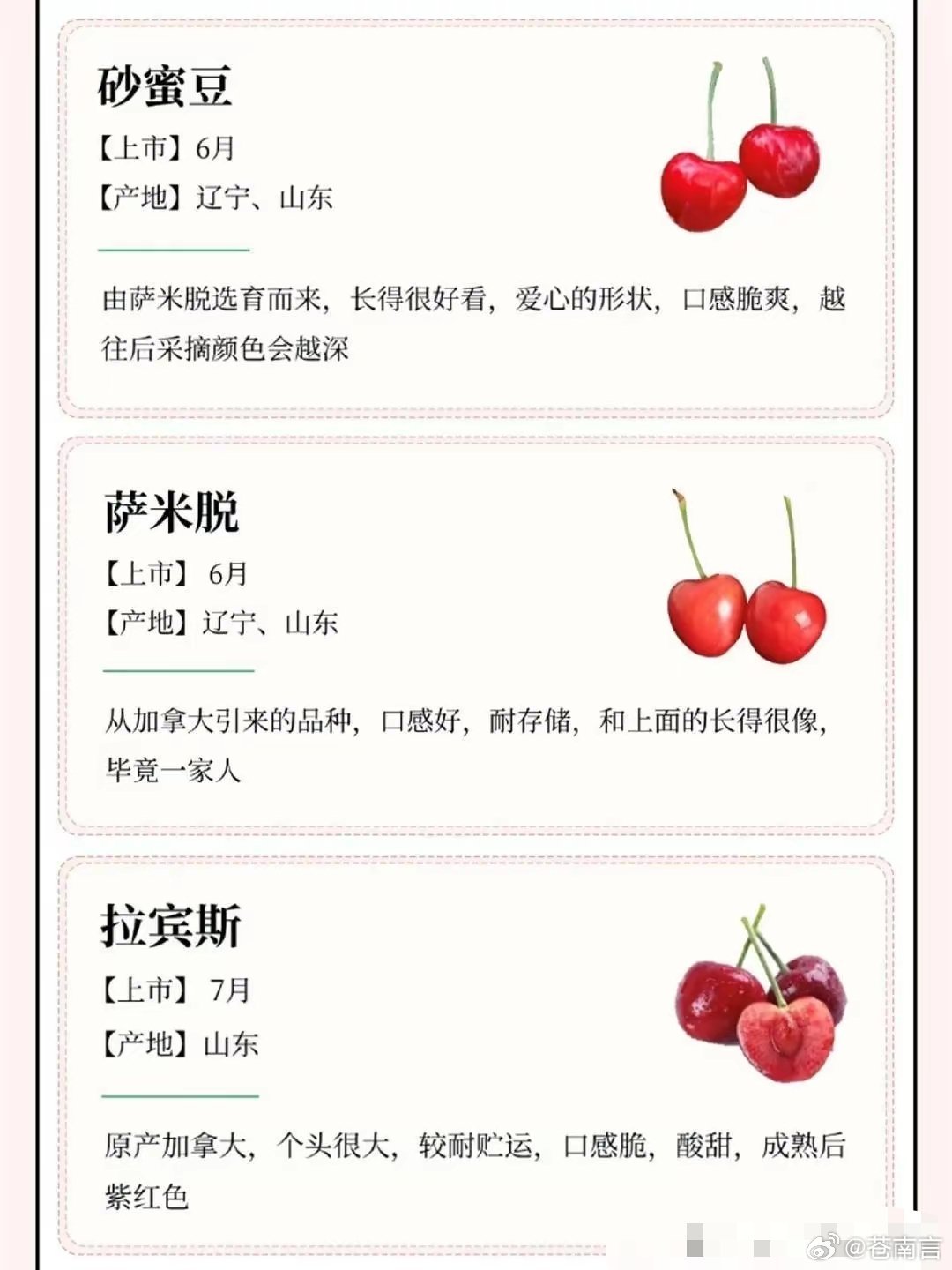 最新樱桃品种大揭秘🍒