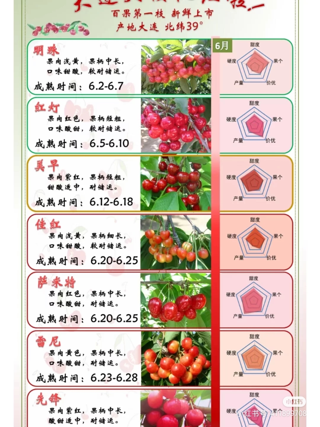最新樱桃品种大揭秘🍒