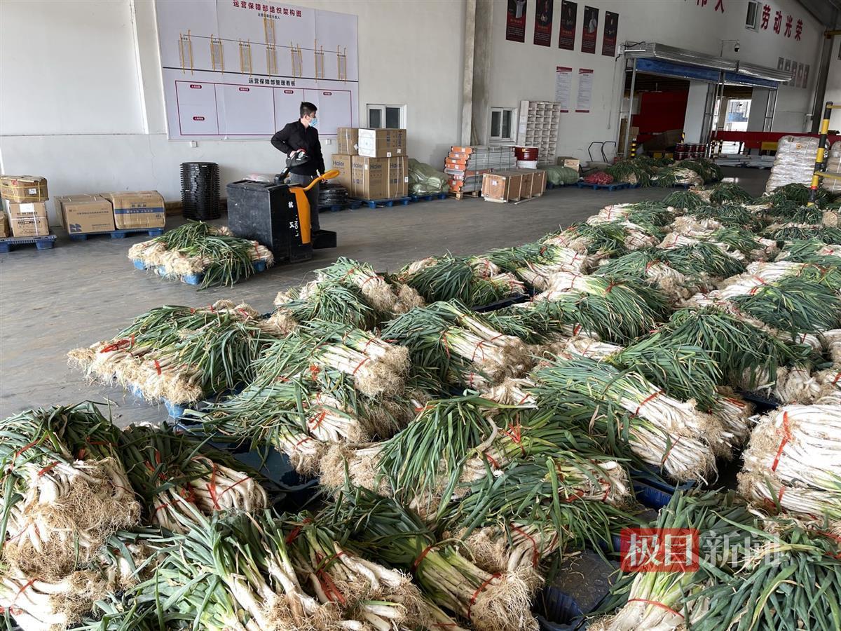 📣嵩县新闻最新消息📣