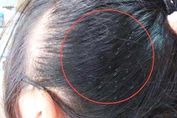 硫磺最新价格,时代的印记与市场的波动