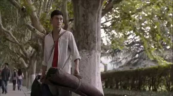 内地最新电视剧,巷弄深处的独特小店