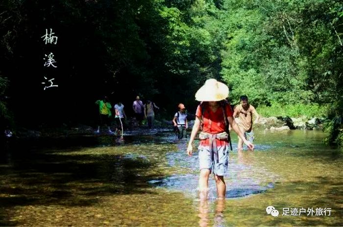 肯德基活动最新动态,探寻盛惠狂欢的源头