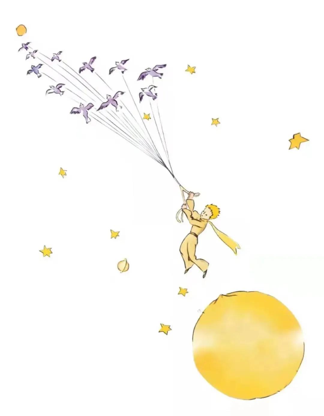 玫瑰花图片 最新图片,一场自然美景的旅行