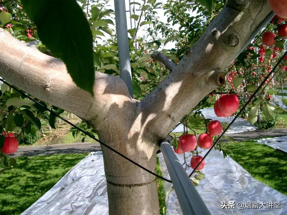 青黄不接 第7页