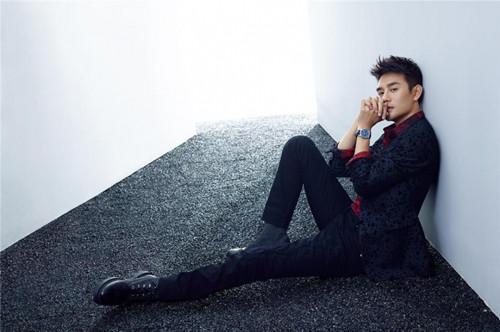 王凯最新电视剧,深度探讨其魅力与价值