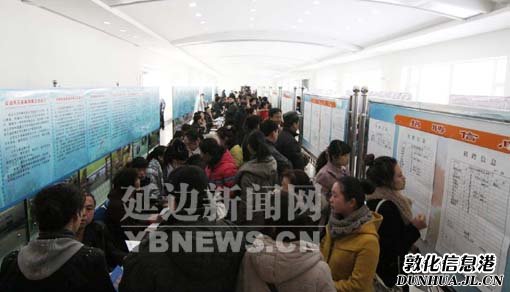 绥化招聘网最新,求职招聘的新天地