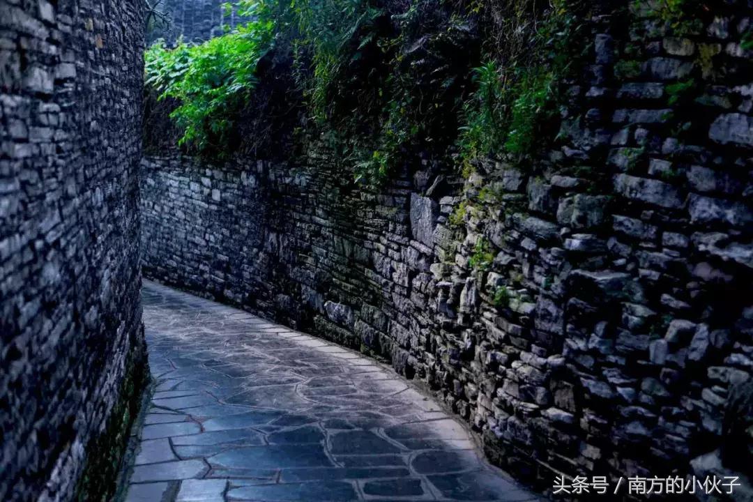 ISO最新版本,小巷深处的独特风味探索之旅