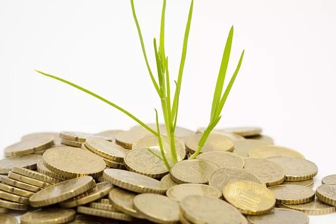 股市最新动态,深入解析与观点阐述