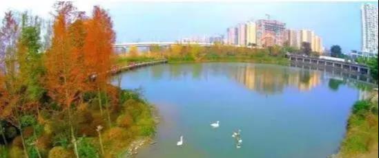 遂宁最新规划图,一场自然美景的探索之旅