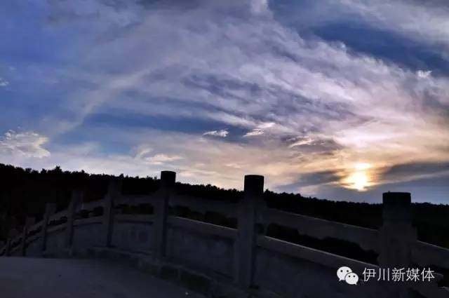 伊川最新招聘,一起探索自然美景,寻找内心的平静