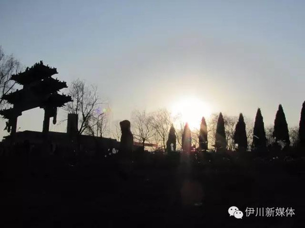 伊川最新招聘,一起探索自然美景,寻找内心的平静