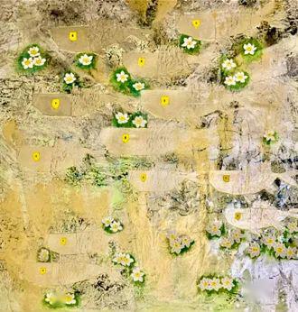 安徽最新地图,探索变迁,自信成就梦想之旅