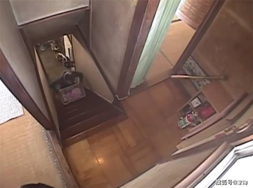 最新好电影,友情的色彩与家的温馨