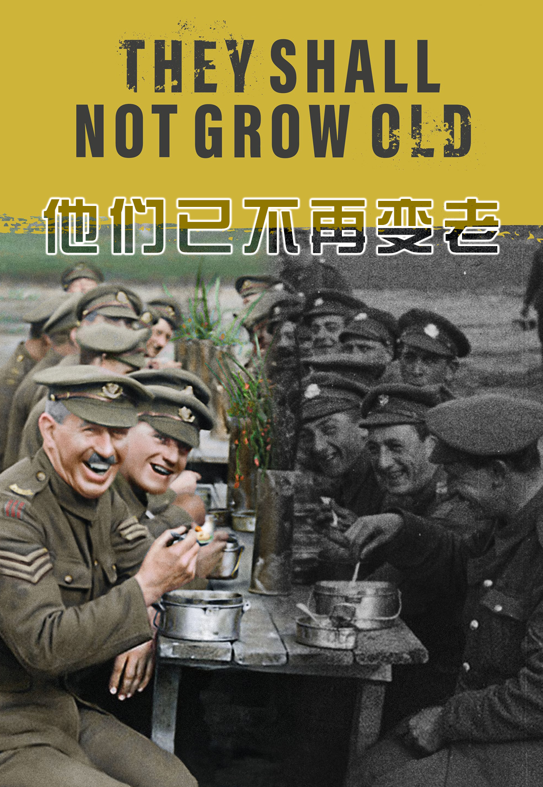 最新军事电影,聚焦战争与和平的视听盛宴