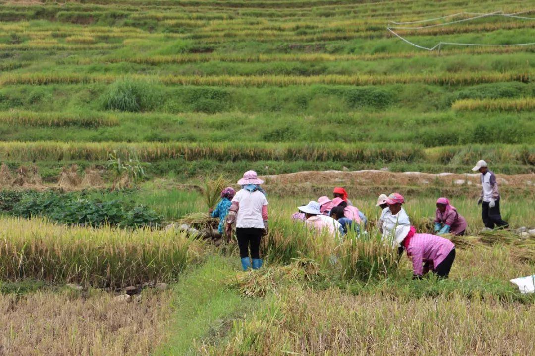 最新体育消息与探索自然美景的旅行,一场远离尘嚣的心灵之旅