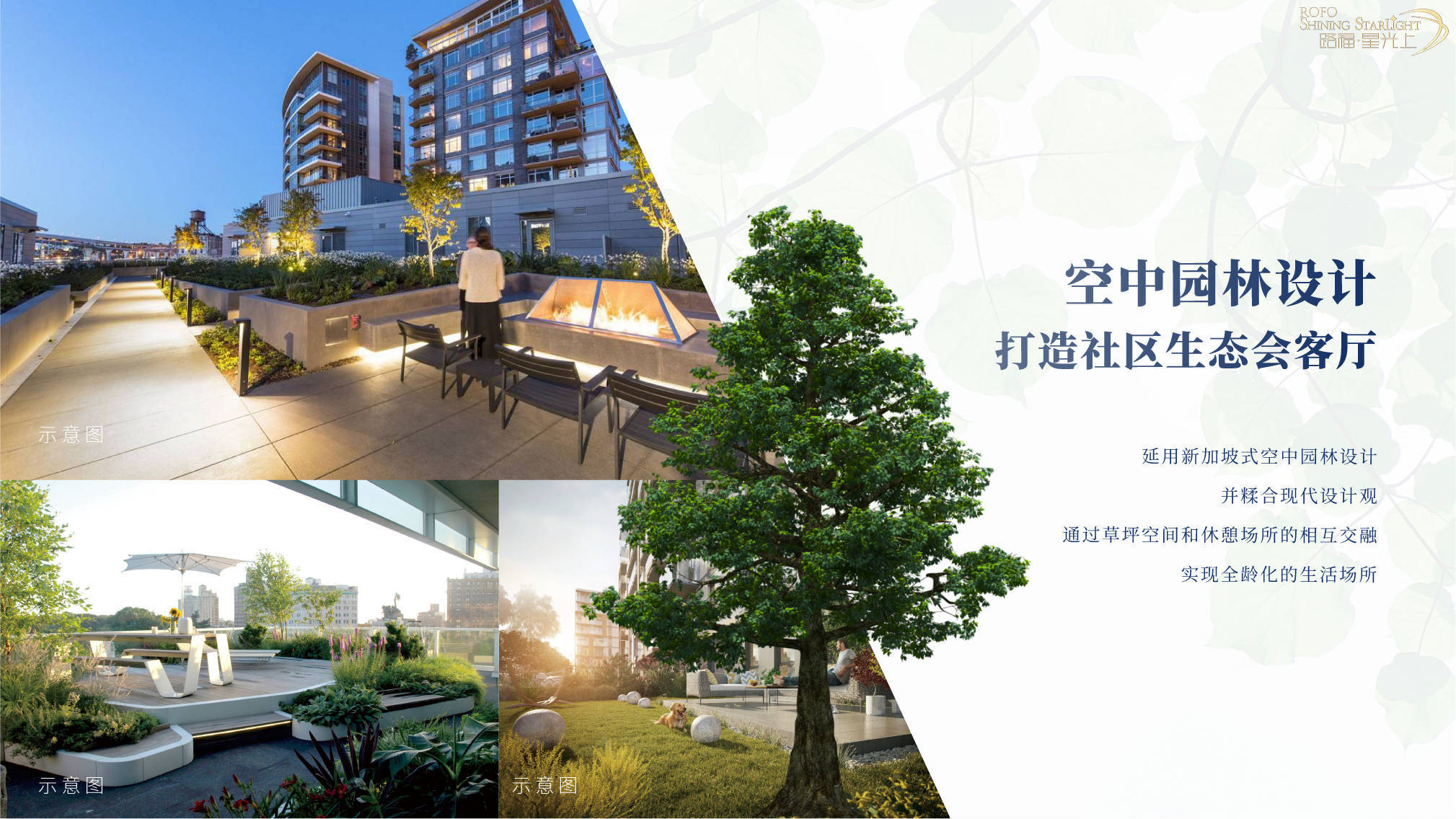 今日大蒜最新价格,一颗蒜头的成长与你的自信之路