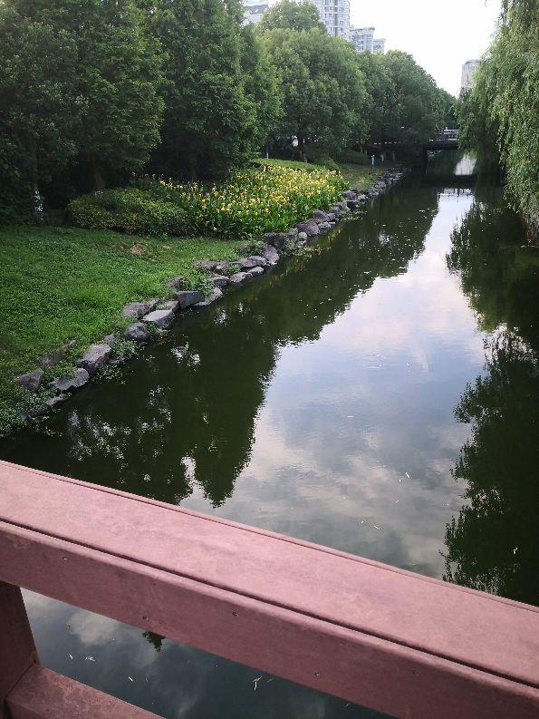 台风烟花最新消息,一场探索自然美景的轻松旅行