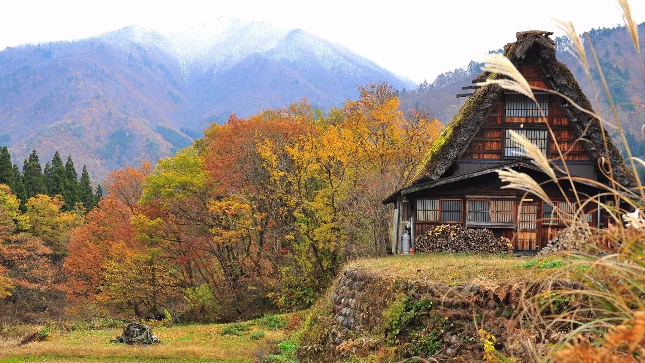 7777788888新版跑狗图,安全设计策略解析_桌面版BSV768.06