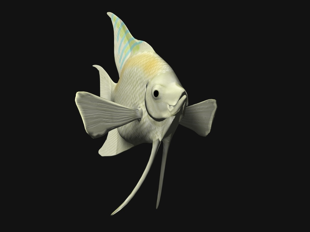 2024全新澳版正版资源大全,动态素材方案解析_独家FBX571.75稀有版