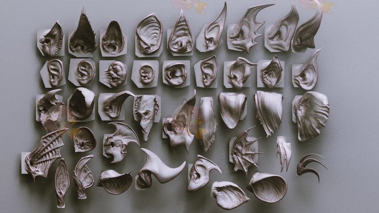 2024全新澳版正版资源大全,动态素材方案解析_独家FBX571.75稀有版