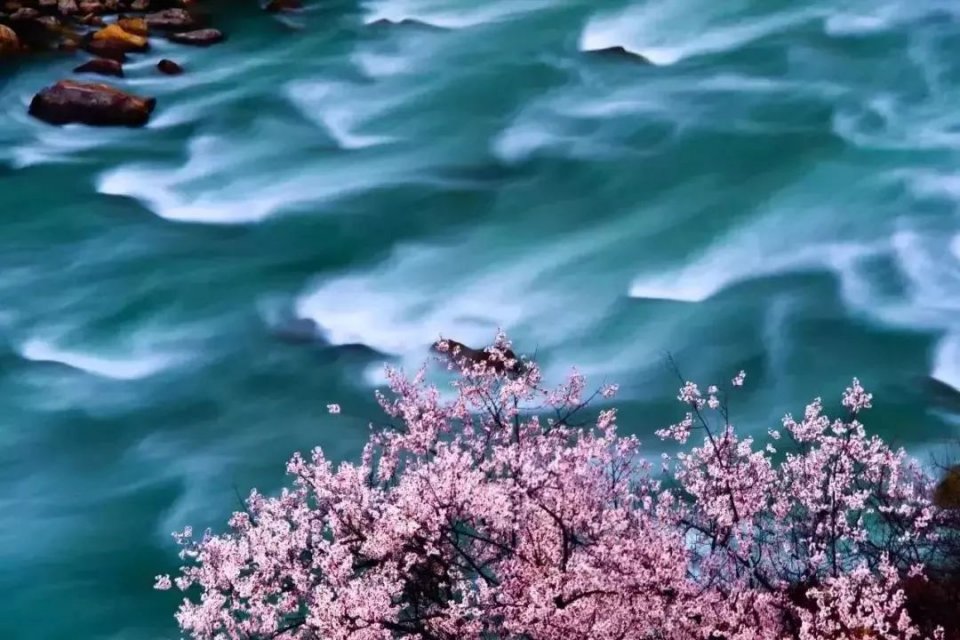 最新地址,浮力之旅,寻找内心的桃花源