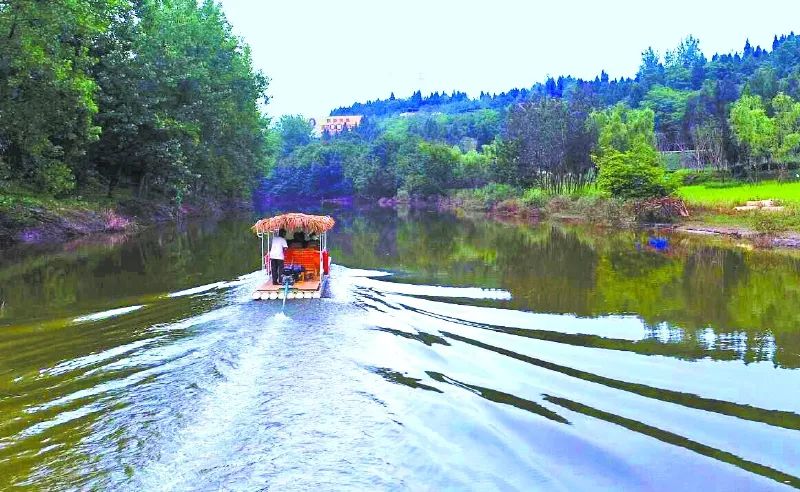 自贡最新新闻,拥抱自然,踏上一场寻找内心平静的旅行