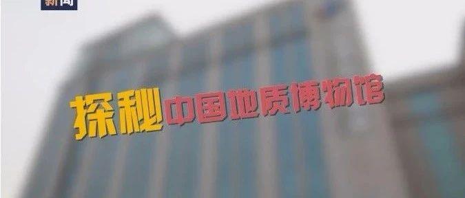 MySQL最新版,与自然的对话之旅