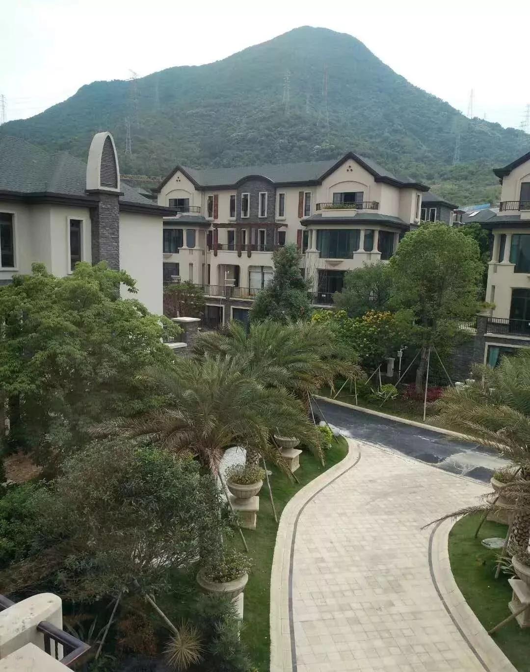 最新车辆年检详细步骤指南