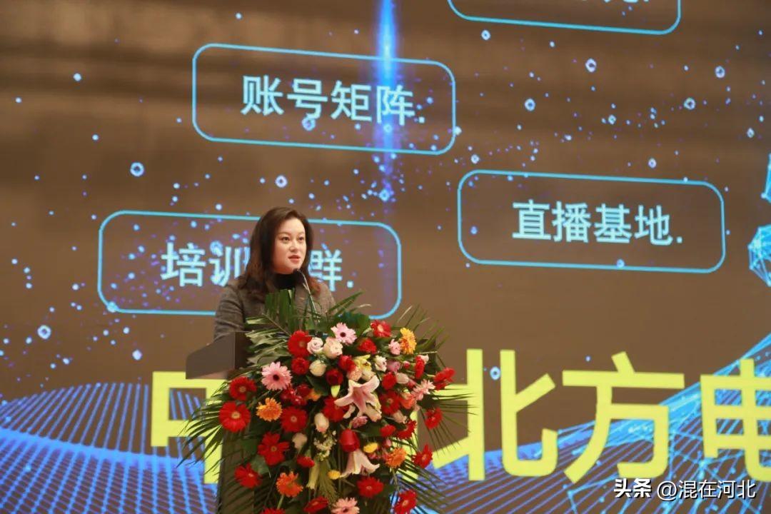 肃宁最新规划,详细步骤指南