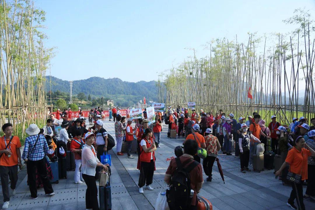 最新明星孩子名字男孩,一种文化现象的探讨