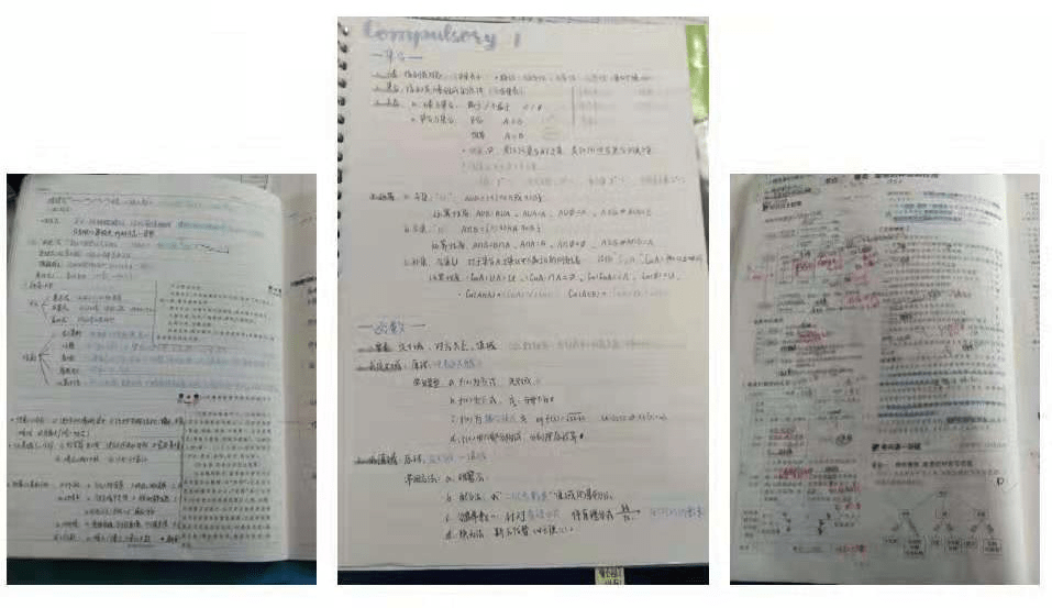 海南台风最新动态,逆风翱翔,学习成就自信与力量