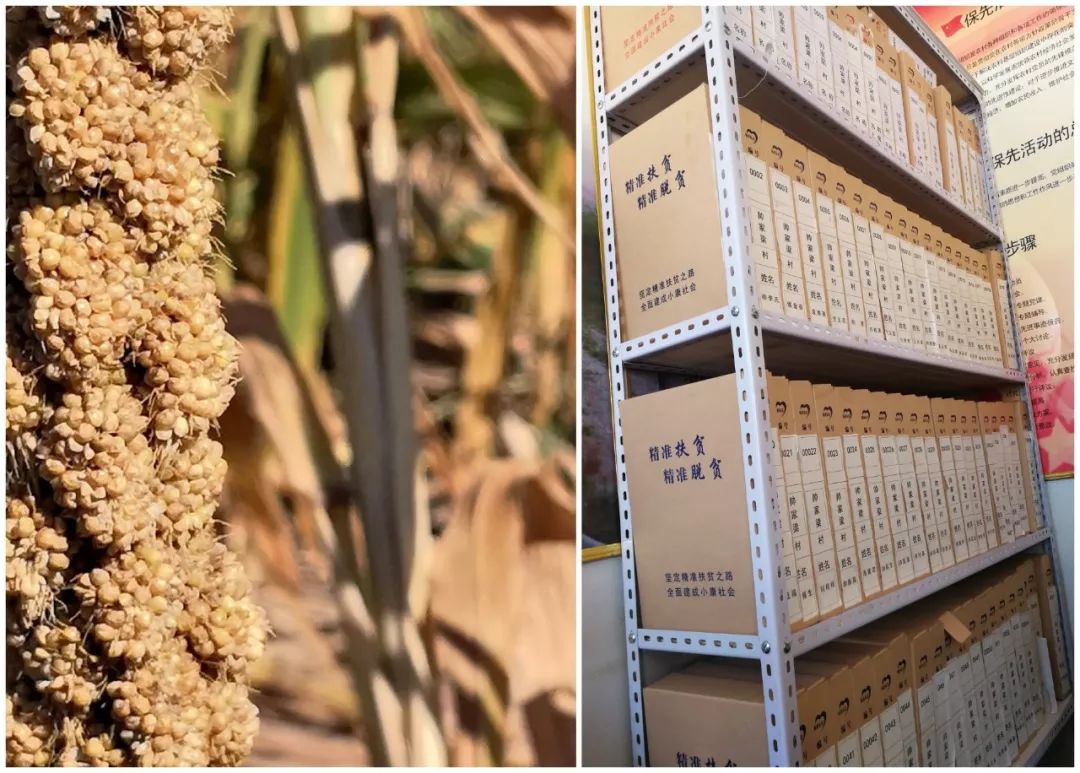 动态词解析助手:精准管家婆TCS56.1参与版体验